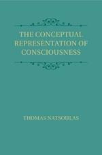 The Conceptual Representation of Consciousness