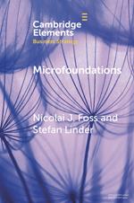 Microfoundations