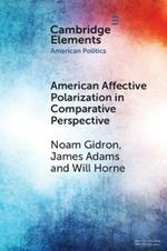 American Affective Polarization in Comparative Perspective