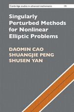 Singularly Perturbed Methods for Nonlinear Elliptic Problems