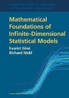 Mathematical Foundations of Infinite-Dimensional Statistical Models