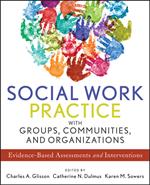 Social Work Practice with Groups, Communities, and Organizations