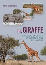 The Giraffe