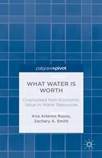 What Water Is Worth: Overlooked Non-Economic Value in Water Resources