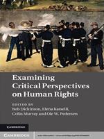 Examining Critical Perspectives on Human Rights