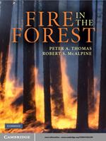 Fire in the Forest