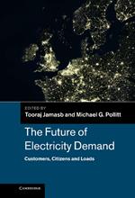 The Future of Electricity Demand