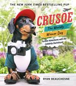 Crusoe, the Worldly Wiener Dog