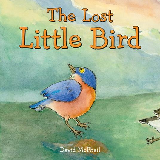 The Lost Little Bird - David Mcphail - ebook