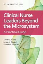 Clinical Nurse Leaders Beyond the Microsystem: A Practical Guide