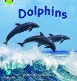 Bug Club Phonics Non-Fiction Year 1 Phase 5 Unit 13 Dolphins