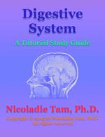 Digestive System: A Tutorial Study Guide