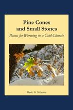 Pine Cones and Small Stones