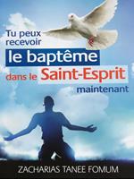 Tu Peux Recevoir le Baptême Dans le Saint-Esprit Maintenant