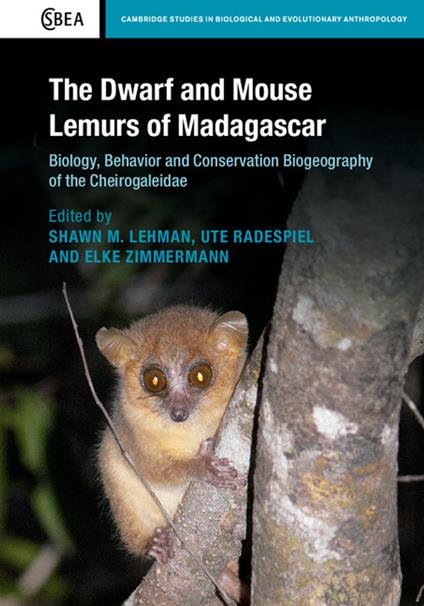 The Dwarf and Mouse Lemurs of Madagascar