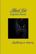 Black Cat, Exploits Poetic