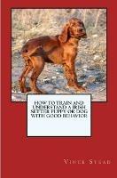 How to Train and Raise a Irish Setter Puppy or Dog with Good Behavior