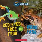 Red-Eyed Tree Frog or Wood Frog (Wild World: Hot and Cold Animals)