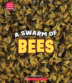 A Swarm of Bees (Learn About: Animals)