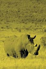 Alive! white rhino - Yellow duotone - Photo Art Notebooks (6 x 9 version): by Photographer Eva-Lotta Jansson