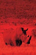 Alive! white rhino - Red duotone - Photo Art Notebooks (6 x 9 series): by Photographer Eva-Lotta Jansson