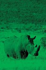Alive! white rhino - Green duotone - Photo Art Notebooks (6 x 9 series): by Photographer Eva-Lotta Jansson