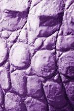 Alive! crocodile skin - Violet duotone - Photo Art Notebooks (6 x 9 series): by Photographer Eva-Lotta Jansson