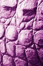 Alive! crocodile skin - Magenta duotone - Photo art notebooks (6 x 9 series)