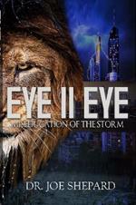 Eye II Eye: Miseducation of the Storm