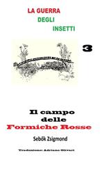 Il campo delle Formiche Rosse