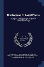 Illustrations of Fossil Plants: Being an Autotype Reproduction of Selected Drawings