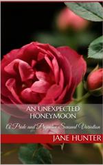 An Unexpected Honeymoon: A Pride and Prejudice Sensual Intimate