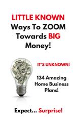 Little Known Ways to Zoom Towards Big Money