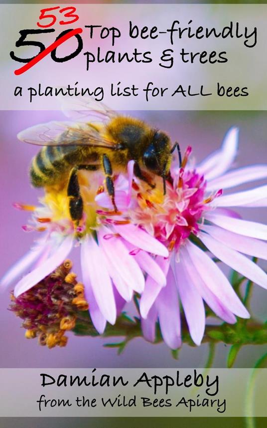 The 53 top bee-friendly plants & trees