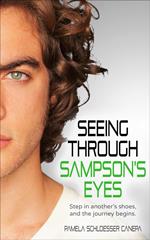 Seeing Through Sampson's Eyes