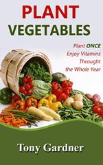 Plant Vegetables: Plant Once, Enjoy Vitamins Throughout the Whole Year