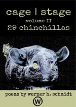 29 Chinchillas