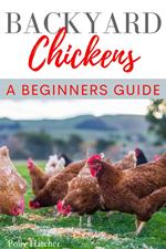 Backyard Chickens: A Beginners Guide