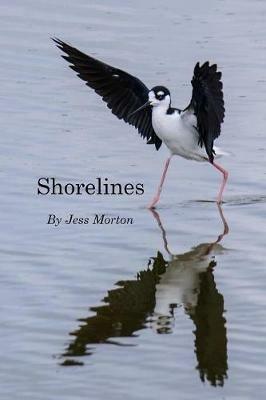 Shorelines - Jess Morton - cover