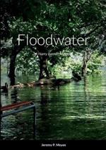 Floodwater: A Harry Barrett Mystery