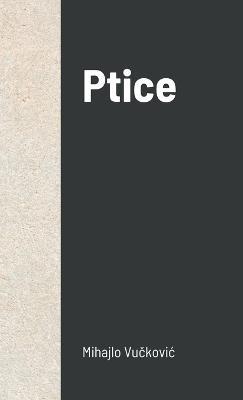 Ptice - Mihajlo Vuckovic - cover