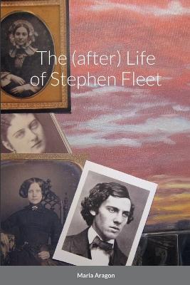 The (after) Life of Stephen Fleet - Maria Aragon - cover