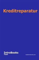 Kreditreparatur