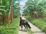 Horseback Escape