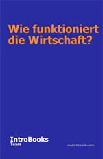 Wie funktioniert die Wirtschaft?