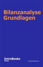 Bilanzanalyse Grundlagen