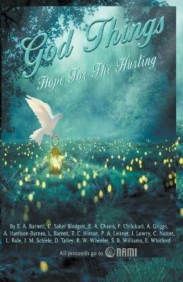 God Things: Hope for the Hurting - J Lowry,T A Barnett,L Barrett - cover