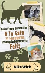 Guía Para Entender A Tu Gato Y Hacerle Completamente Feliz