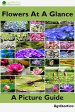 Flowers at a Glance: A Picture Guide