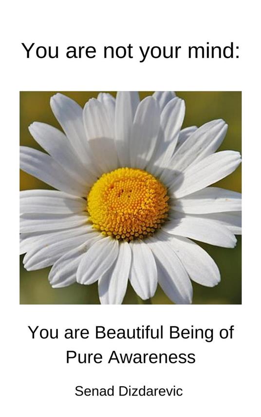 You Are Not Your Mind: You Are Beautiful Being Of Pure Awareness